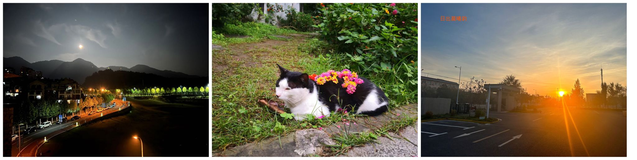 太阳成集团tyc122cc