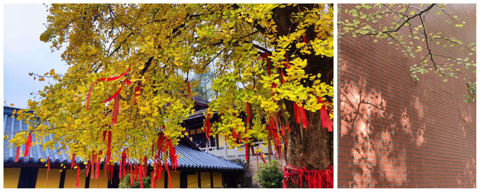 太阳成集团tyc122cc